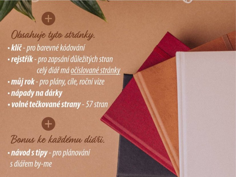 další stránky v diáři