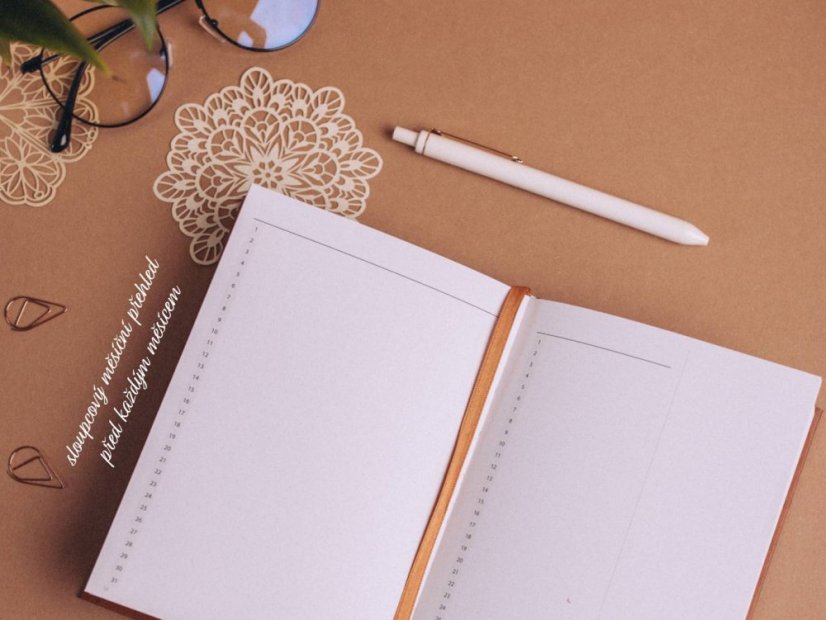 nedatovaný měsíční přehled